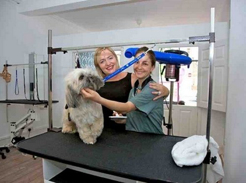 Perfect Pooch Grooming Teddington