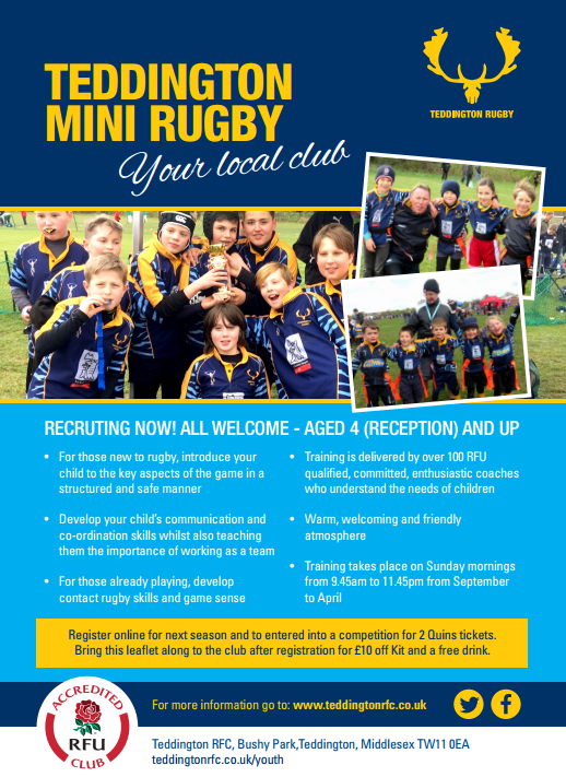 teddington-mini-rugby